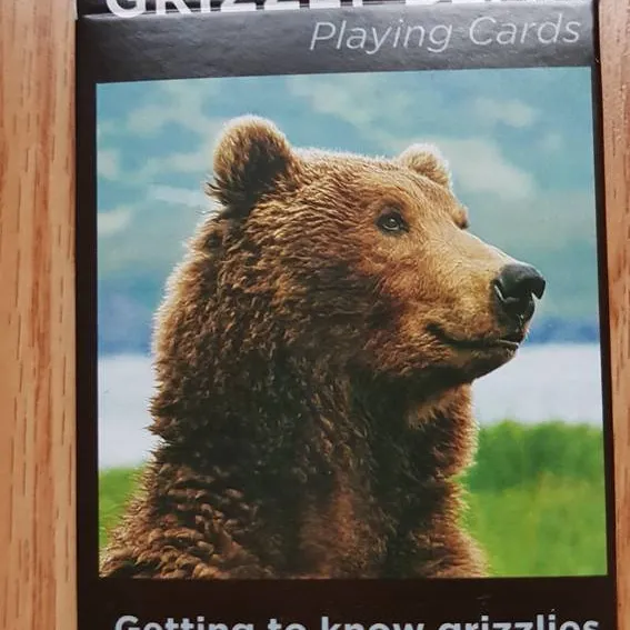 Bear Playing Cards photo 1