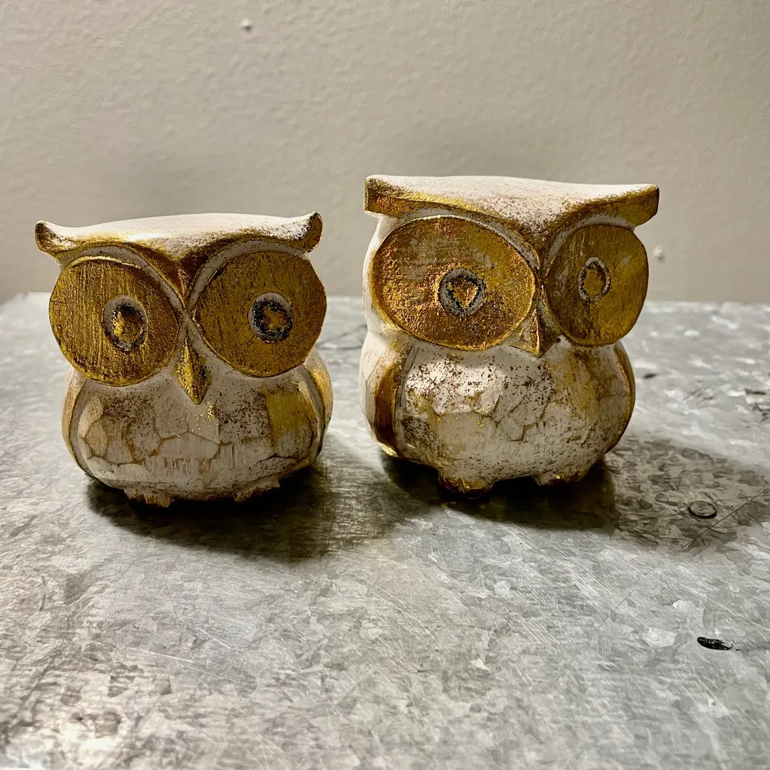 Wooden Owls photo 1