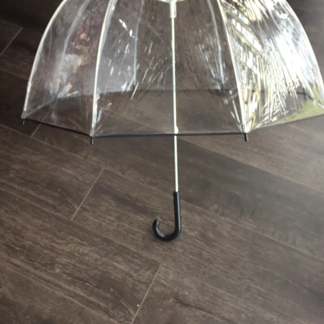 Clear Umbrella photo 3