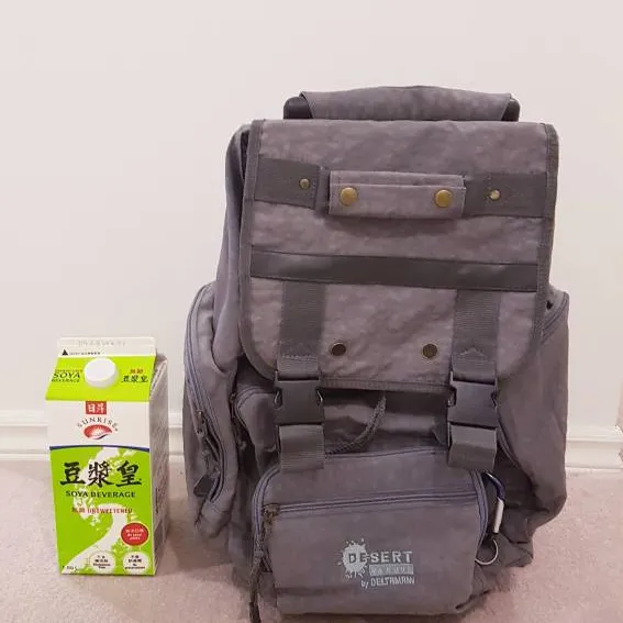 Grey Luggage Backpack photo 1