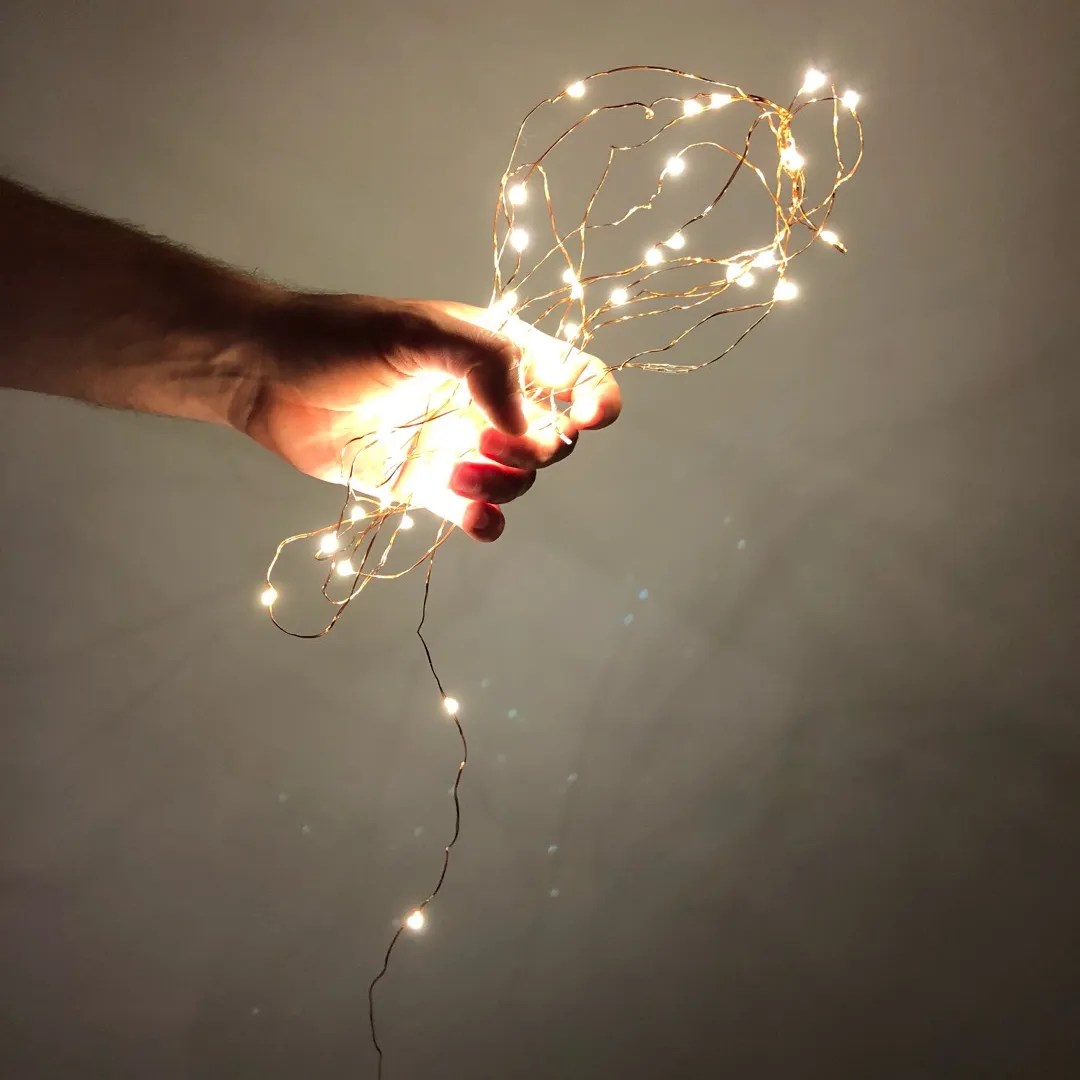 FIREFLY STRING LIGHTS - copper wire - 15 feet photo 1