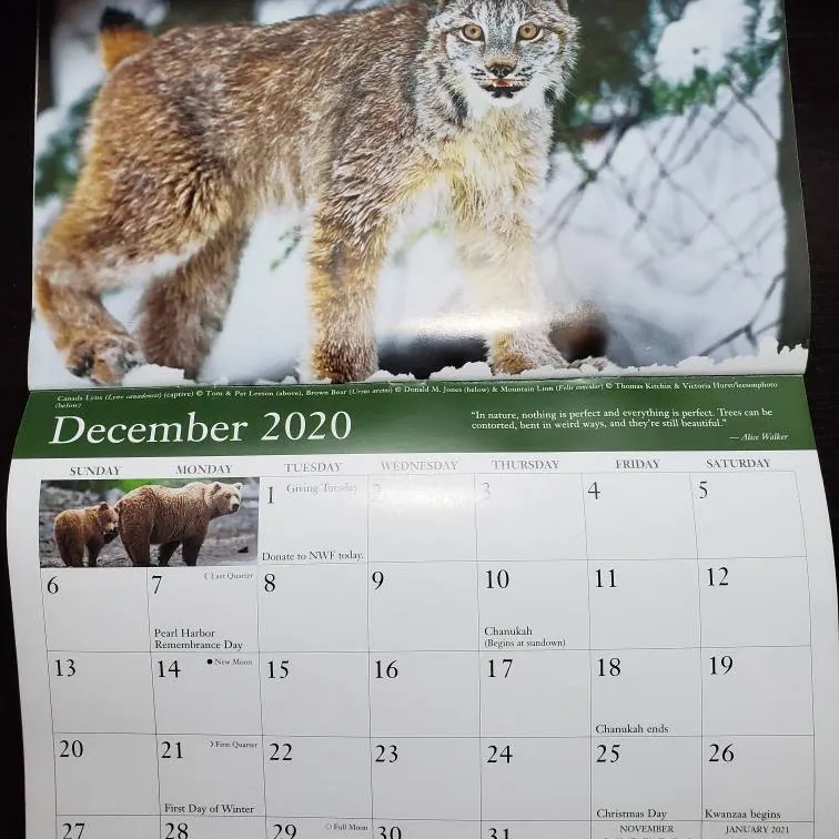 Free 2019 wildlife Calendar photo 5