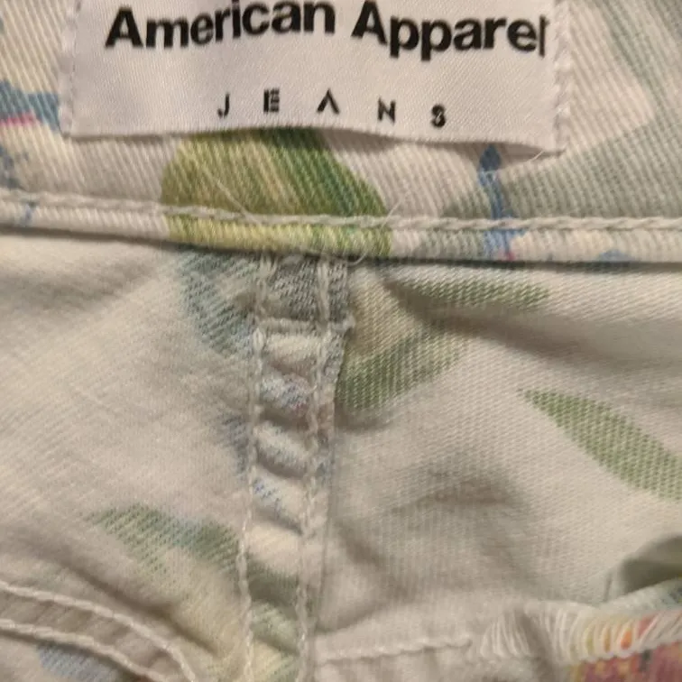 American Apparel Shorts photo 4