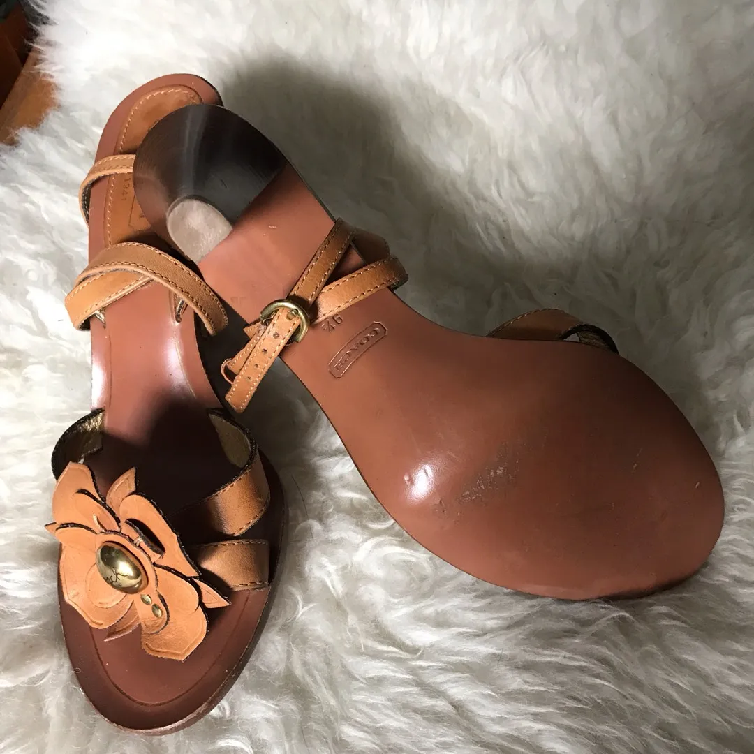 Brown Leather Coach Heels 9.5 photo 3