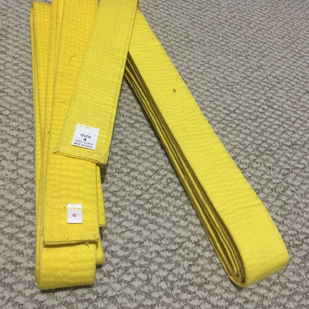 New Karate Yellow Belts photo 1