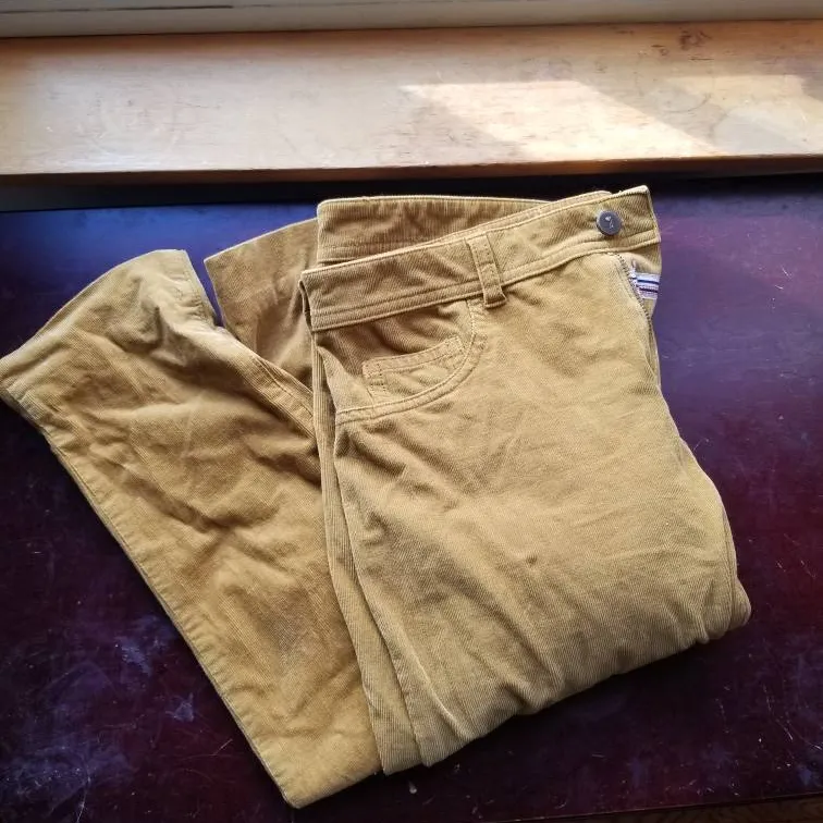 Corduroy pants from Anthropologie Size 29 photo 1