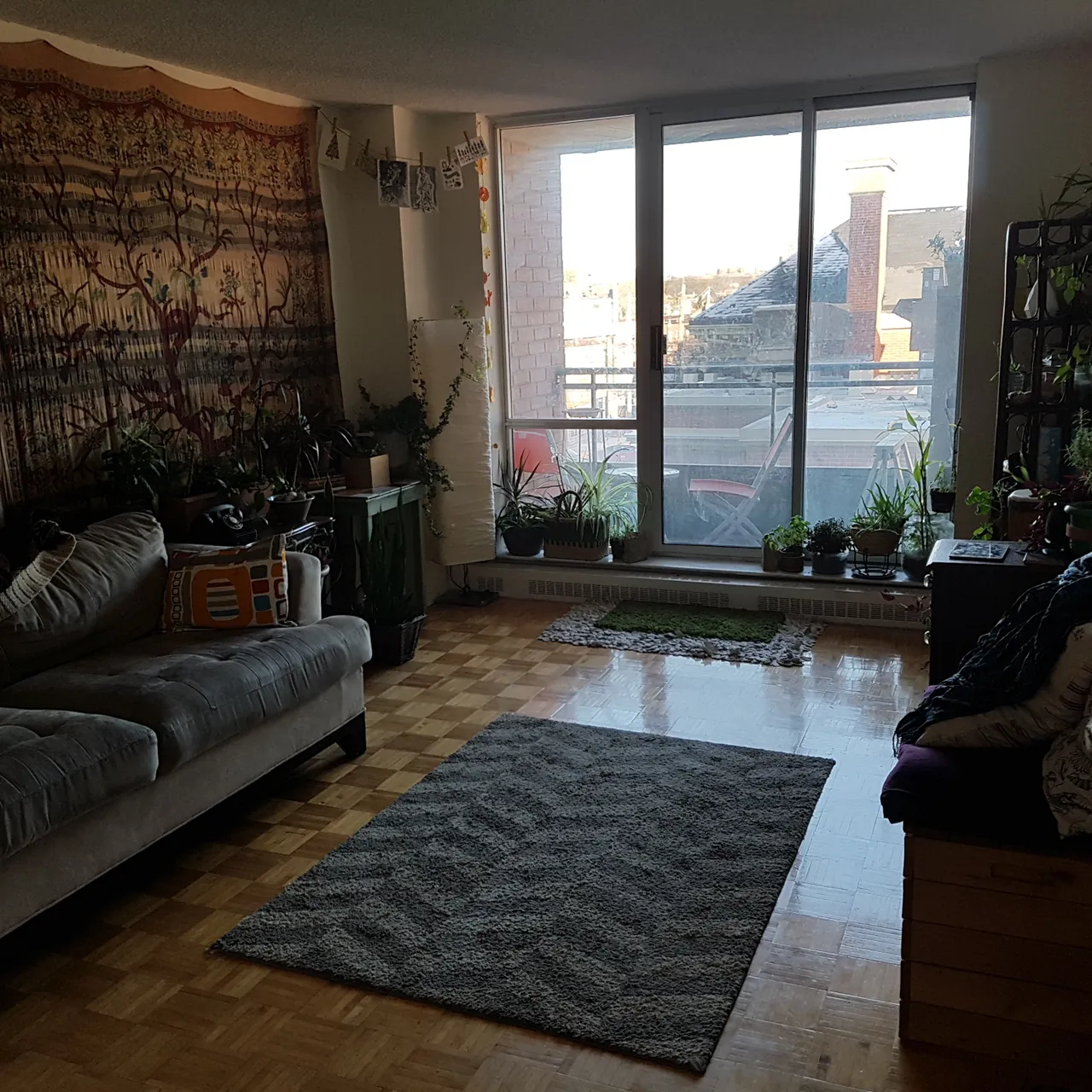 Roommate Wanted: Queen West Soulful Pad photo 8