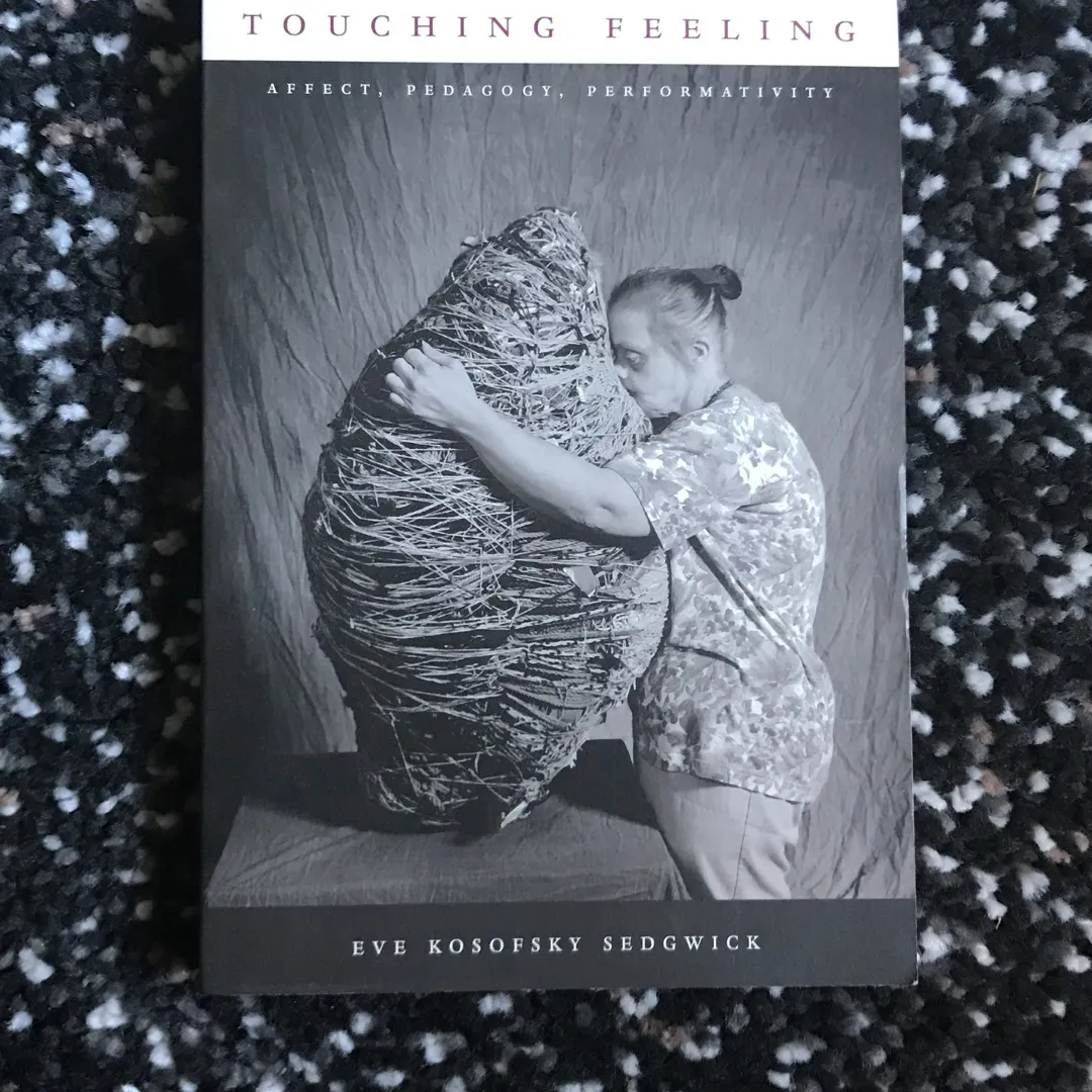 Touching Feeling: Affect, Pedagogy, Performativity photo 1