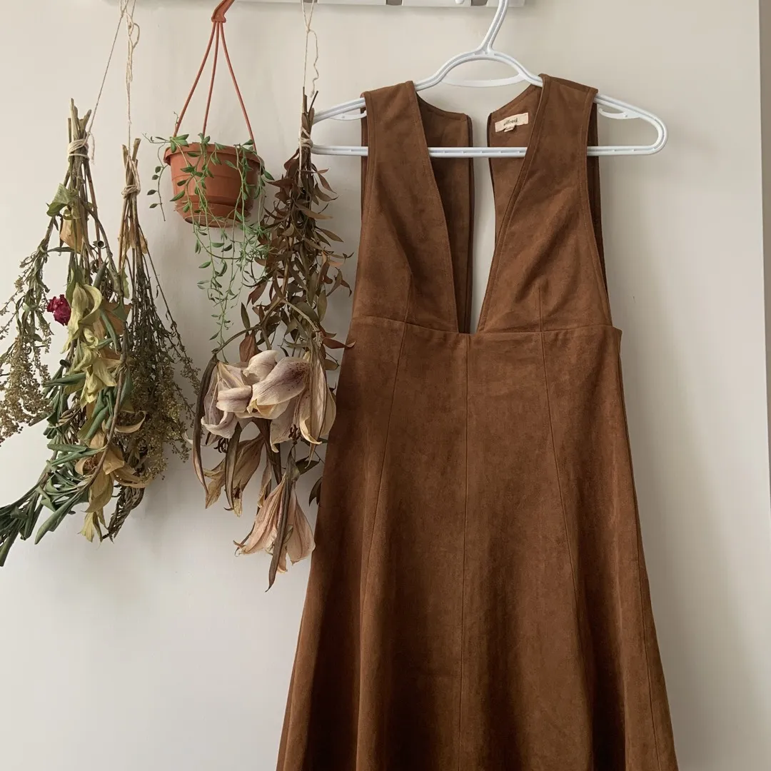 Suede Wilfred Dress photo 1