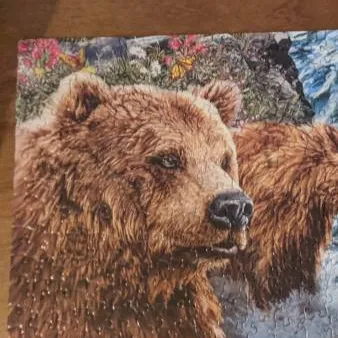 Bear Puzzle photo 1
