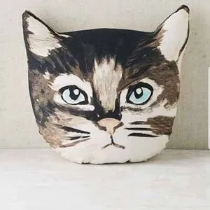 Urban Outfitters Cat Pillow photo 4