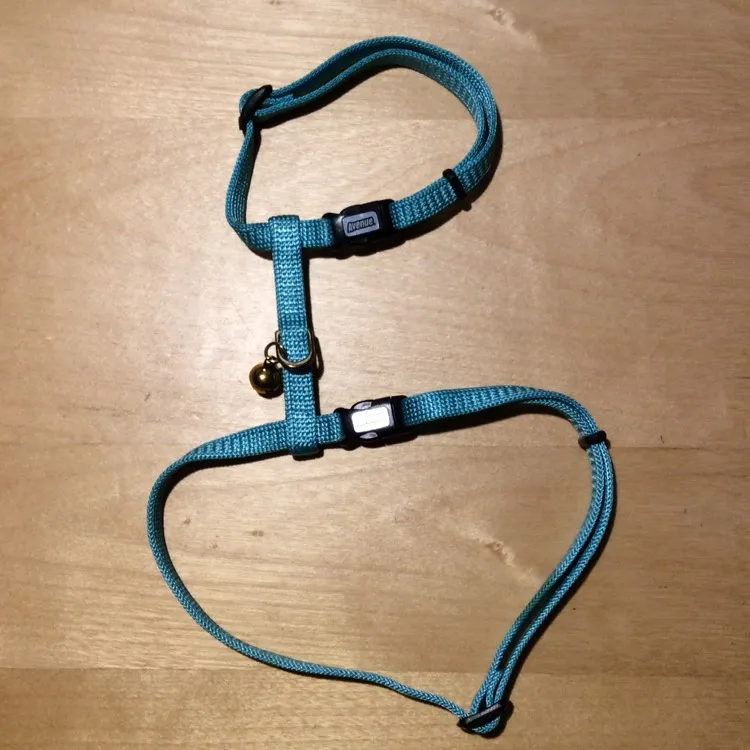 Cat Harness with Bell photo 1