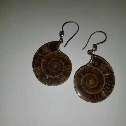 Real Fossil Earrings photo 1