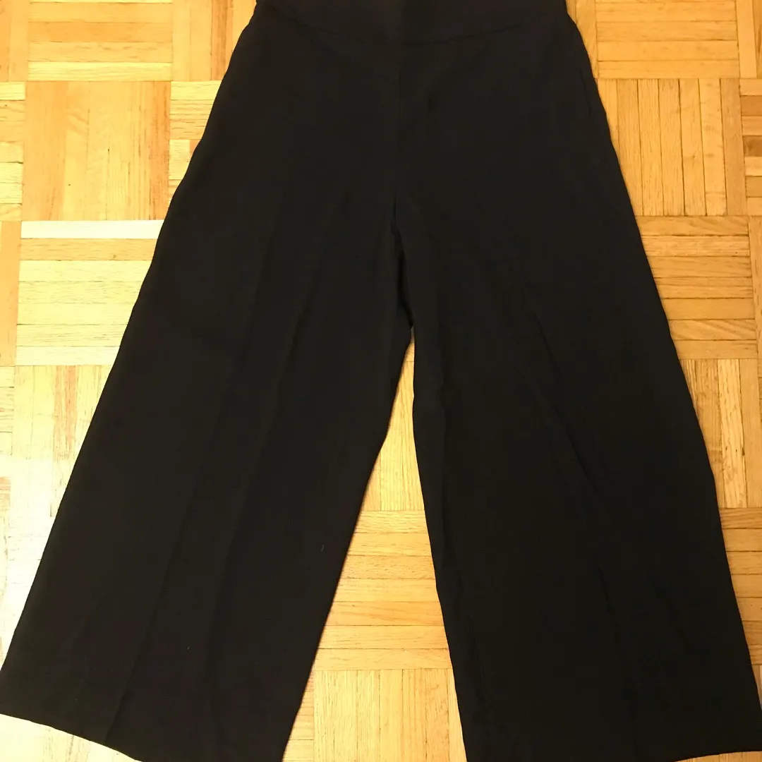 H&M Wide-Legged Trousers (Size 6) photo 1