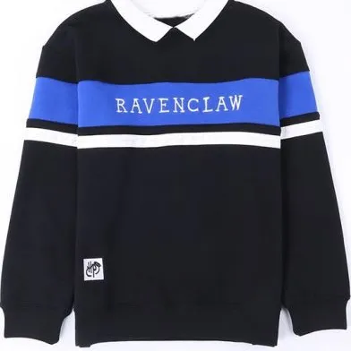 Ravenclaw Harry Potter sweater photo 1