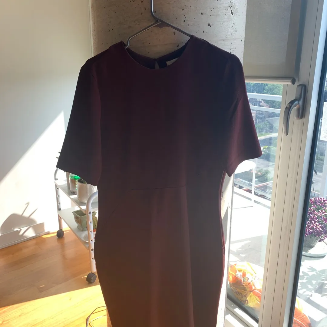 H&M Maroon Dress (size 12) photo 1