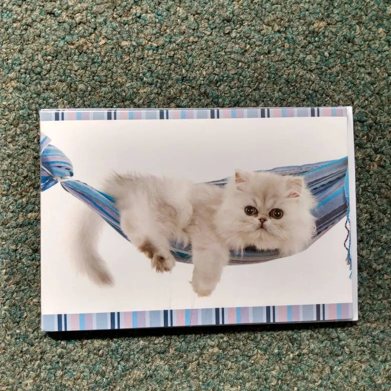 Kitty Greeting Cards photo 1