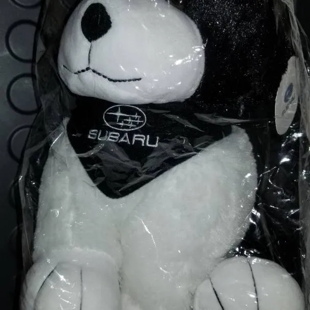 NEW Subaru Buddy Dog Plush / Soft Toy photo 1