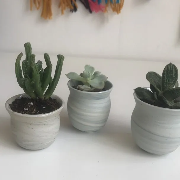 Tiny Succulents In Handmade Pots photo 5