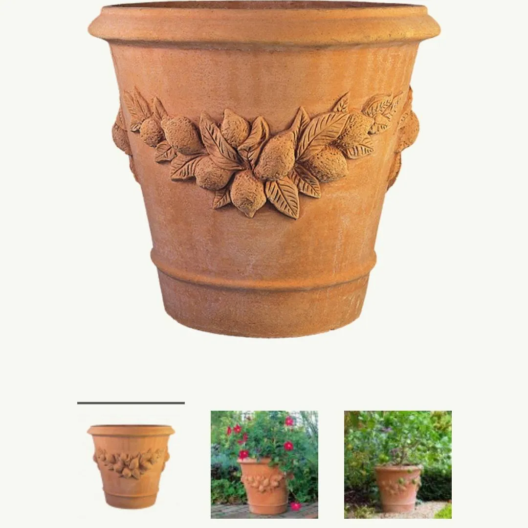 LOOKING for Large Clay Planters/Urns photo 1