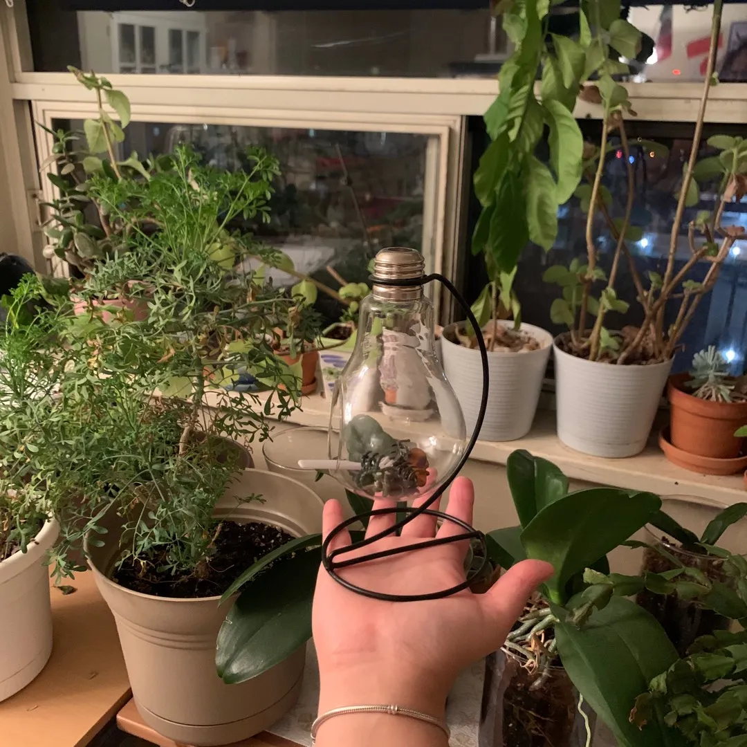 Light Bulb 💡 Plant Stand photo 4