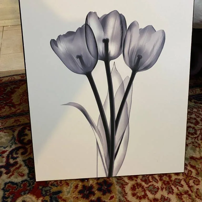 Tulip Prints photo 1