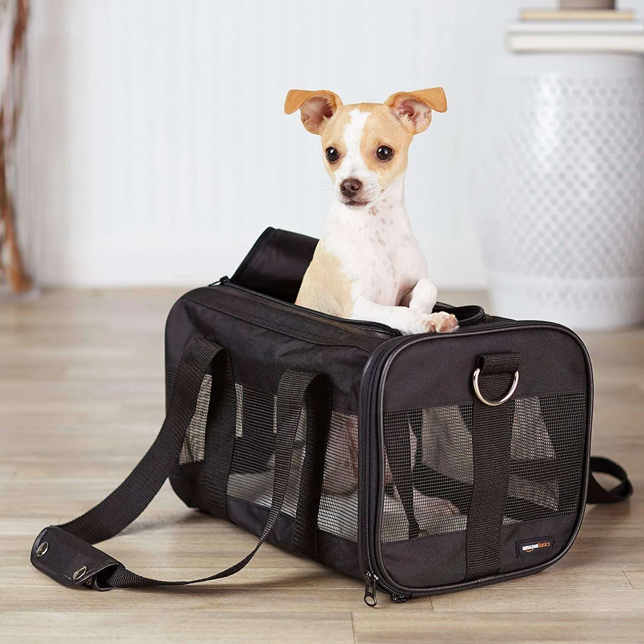 Amazon Basics Small Dog Carrier photo 4