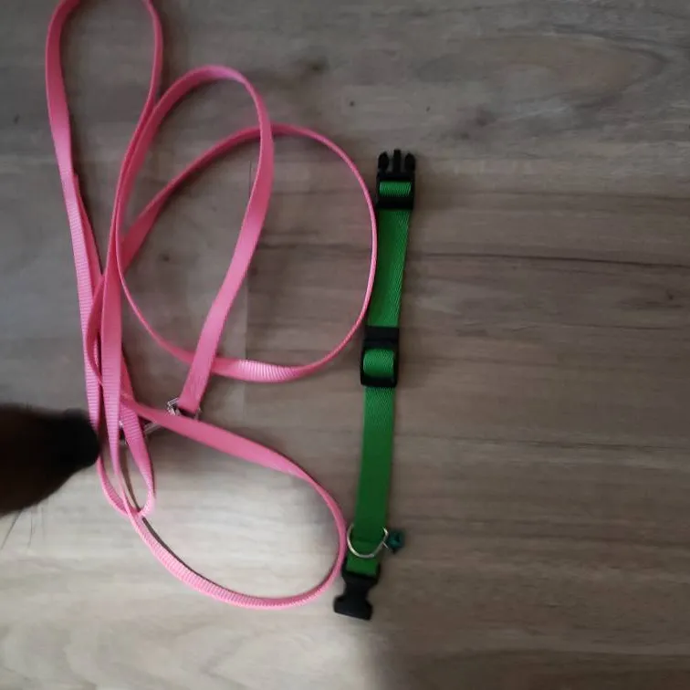 Cat Leash And Collar photo 1