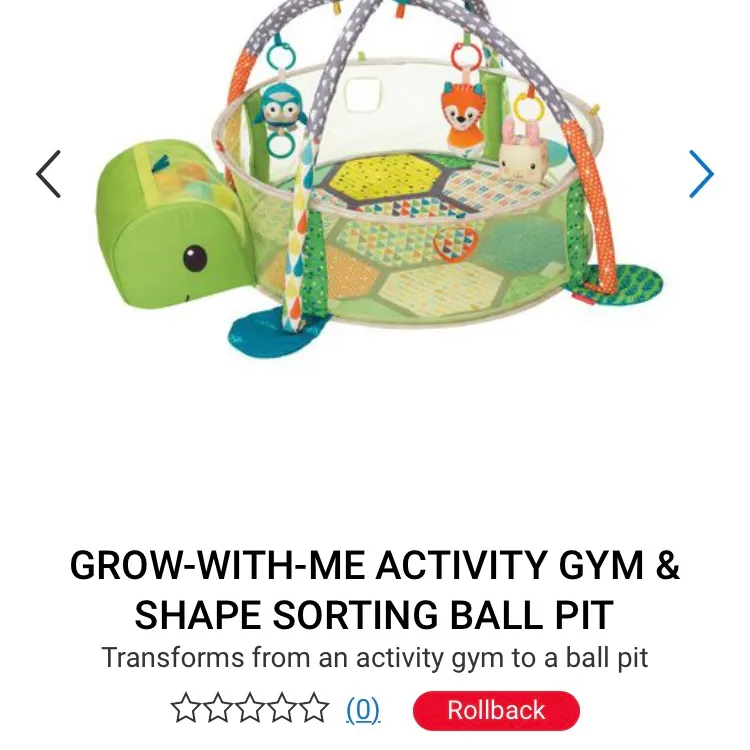 Activity Gym And Ball Pit photo 1