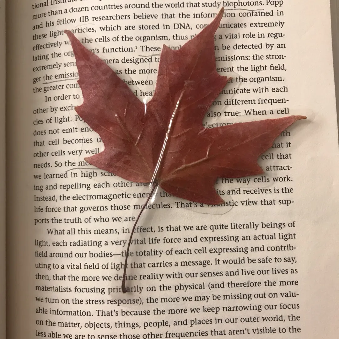A Maple Leaf 🍁 Bookmark photo 1