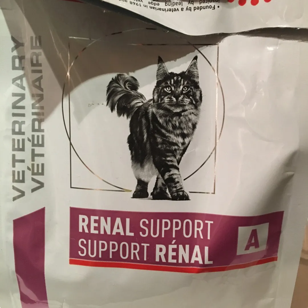 Cat Food for Kitties With Kidney Disease photo 1