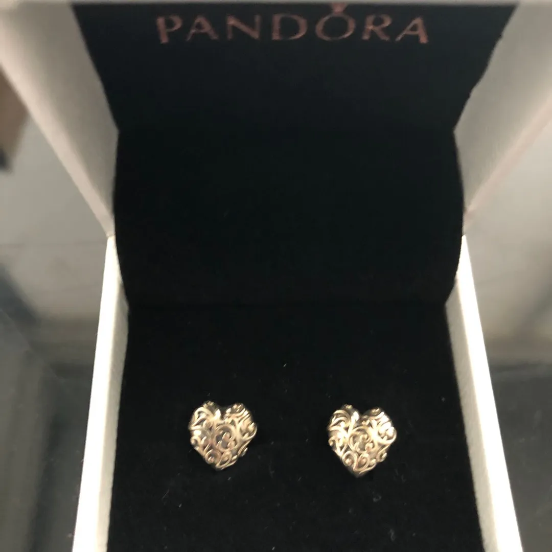 Pandora Earrings (Brand New In Box) photo 1