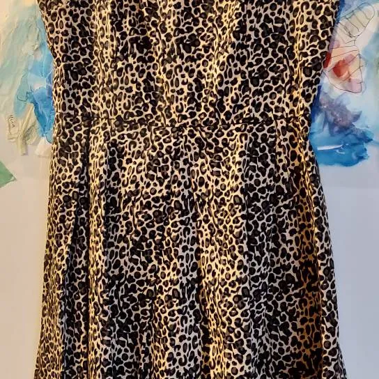 Leopard Print Dress photo 1