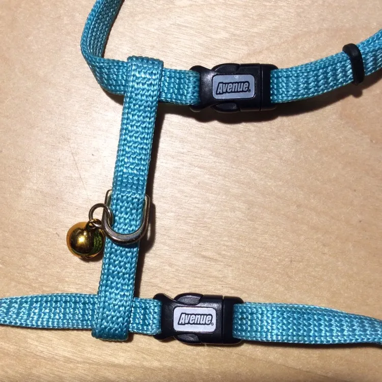 Cat Harness with Bell photo 3