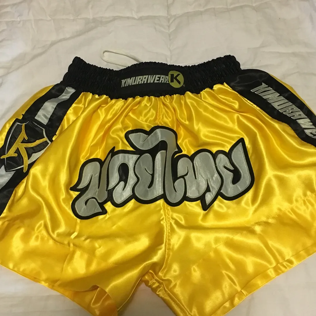 Muay Thai Shorts (large) photo 1
