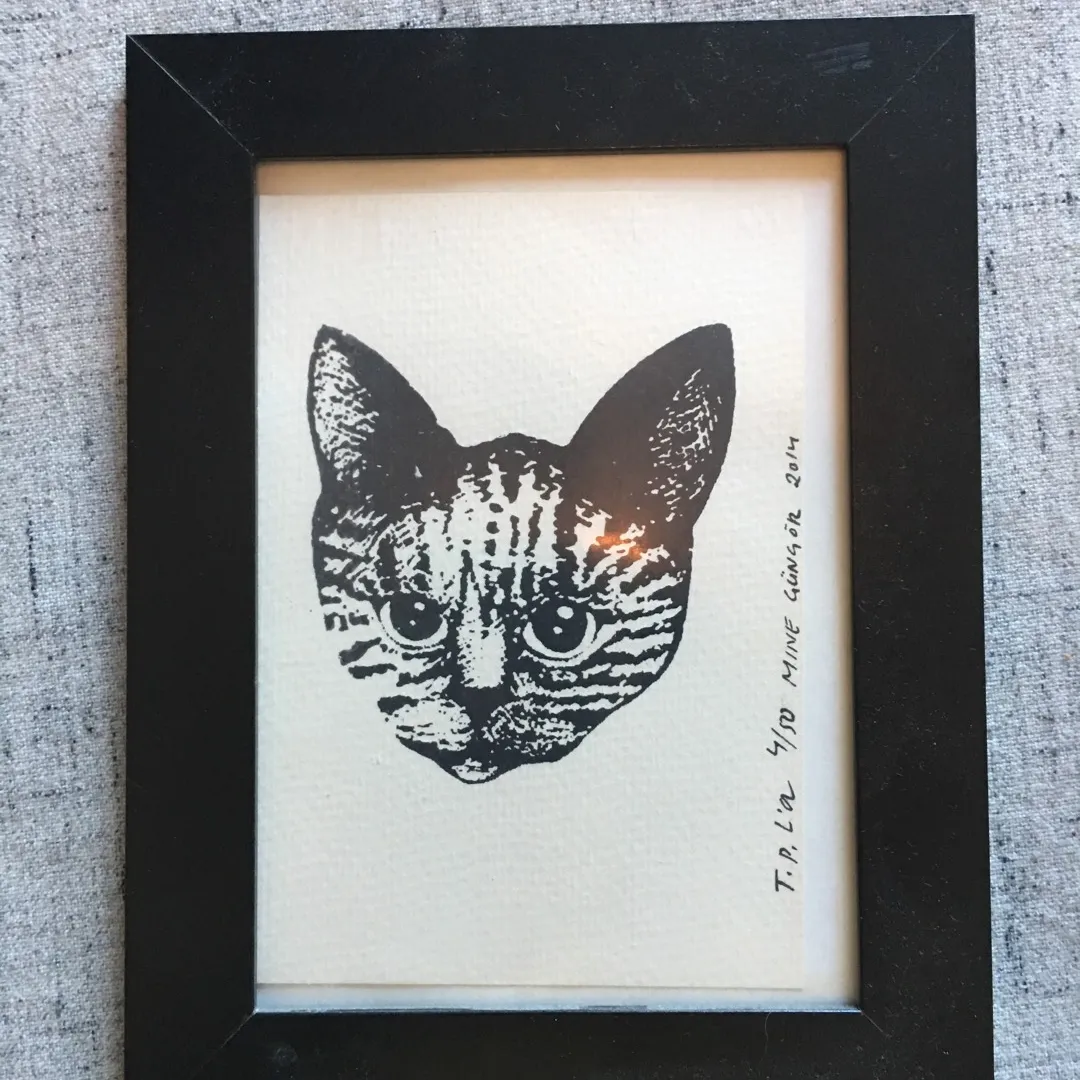 Cat Print 4x6 In A Frame photo 1