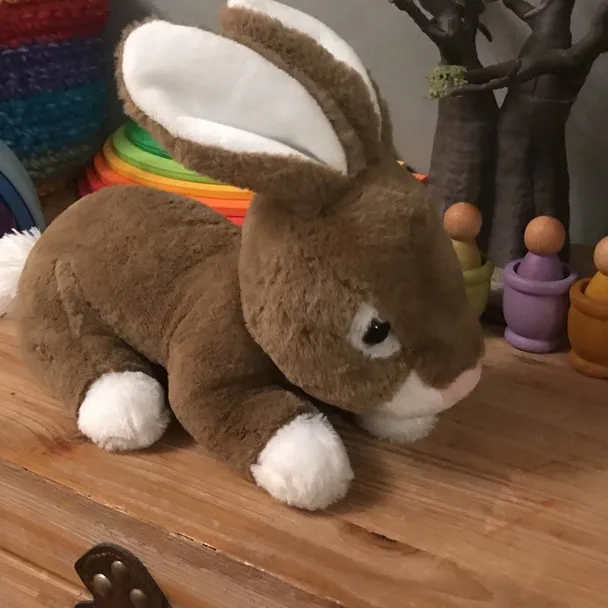 Stuffed Bunny photo 1