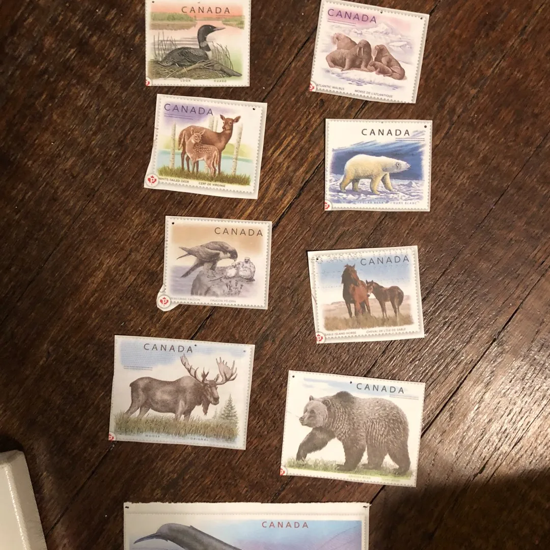 All the STAMPS photo 1
