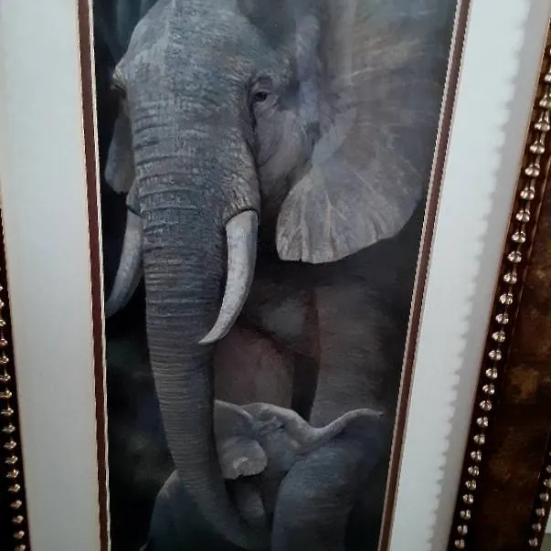 Collectible Ruane Manning Safari Large framed art, Wildlife D... photo 4