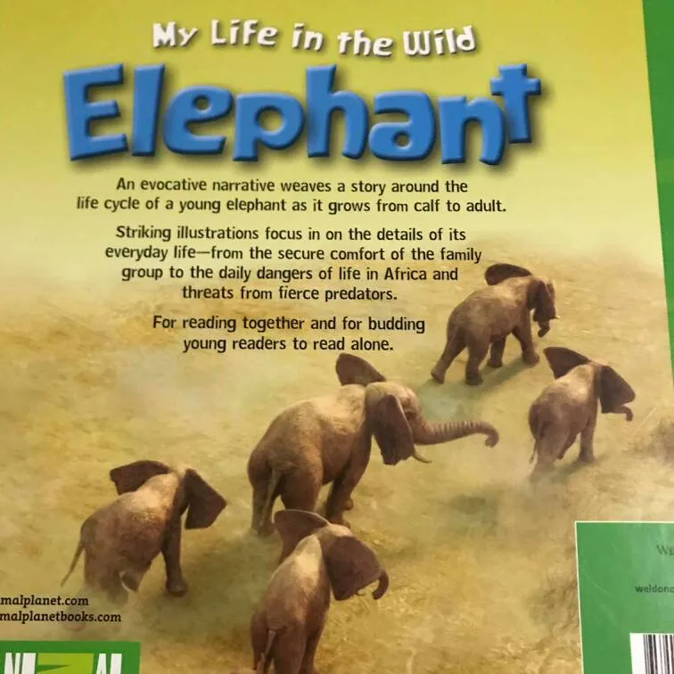 New Kids Book - My Life In the Wild Elephant photo 7