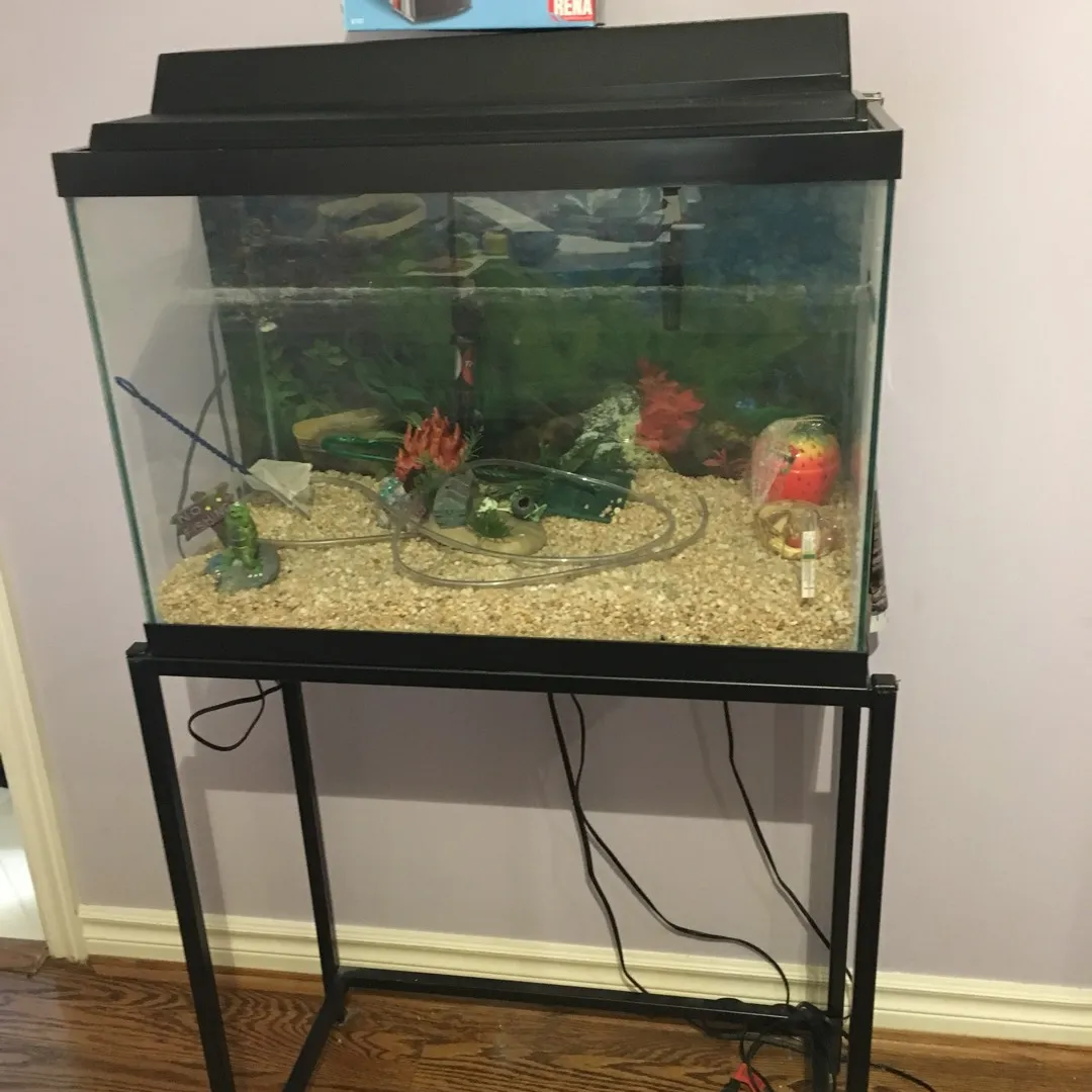 For sale to a carrying home. Aquarium In Mint Condition photo 1