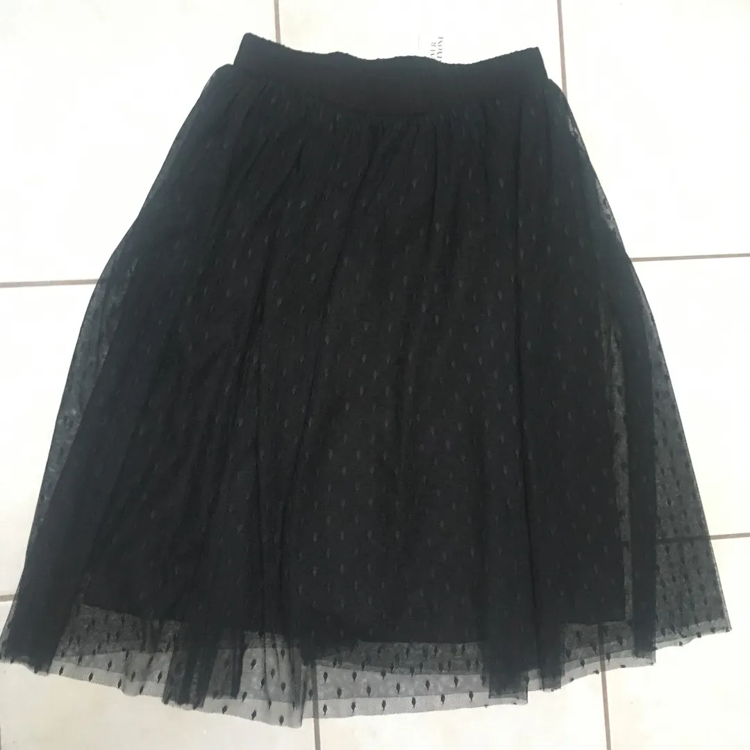 F21 Skirt New With Tags Size m photo 5