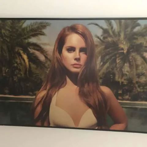 Lana Del Rey Framed Poster photo 1