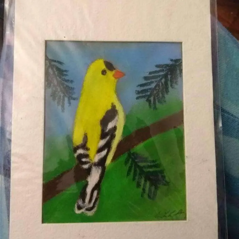 American Goldfinch Pastel Painting photo 1