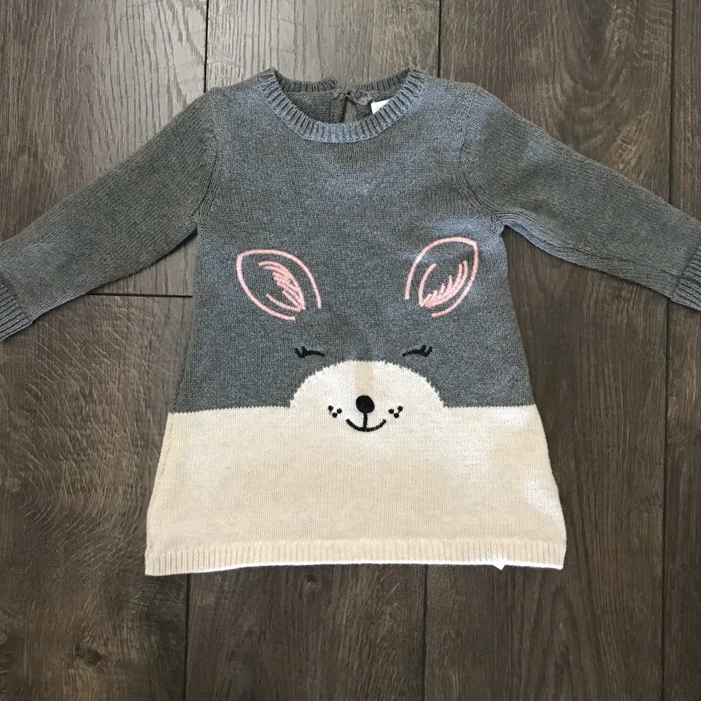 Baby Girl Sweater Dress photo 1