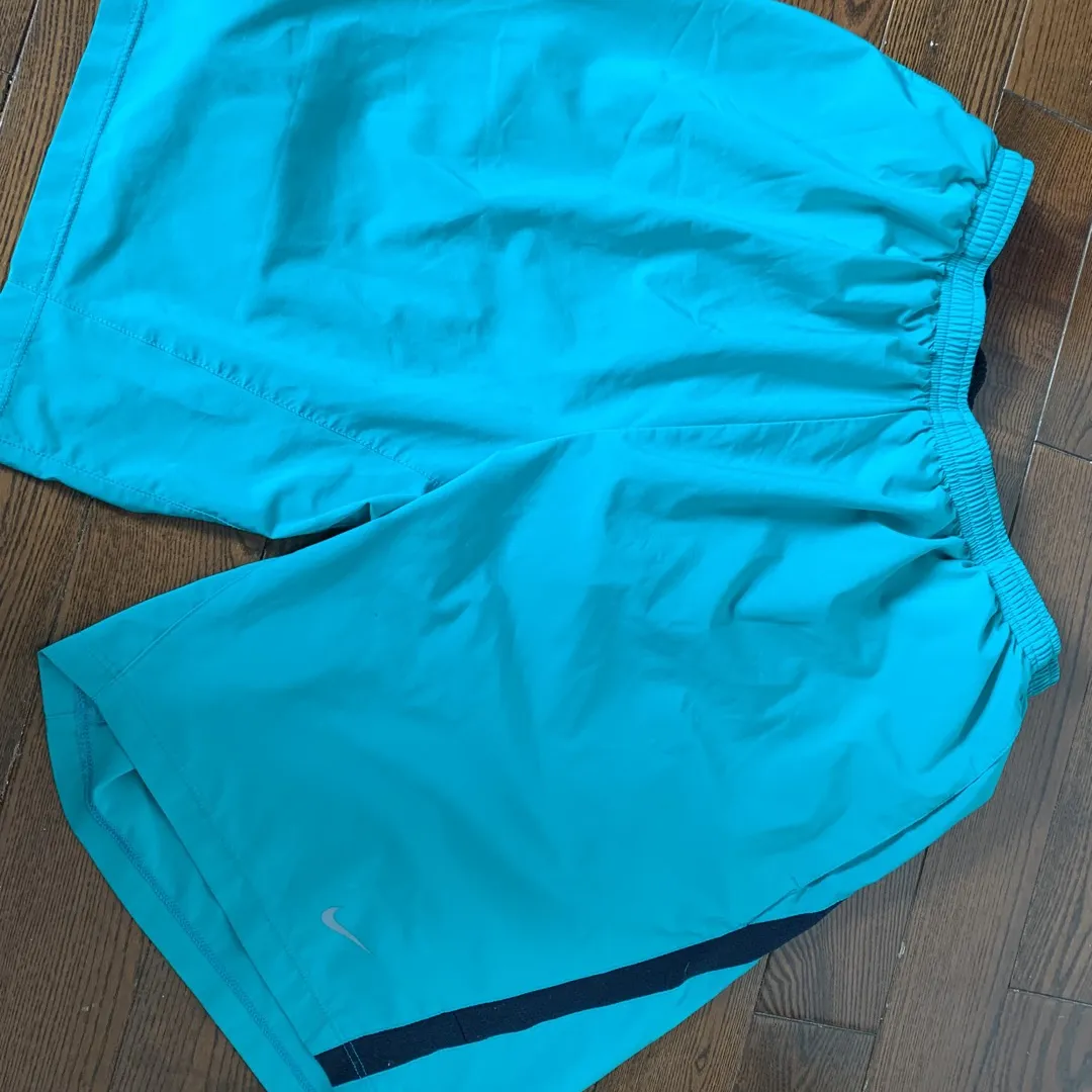 Nike Dry Fit Men’s Shorts photo 1