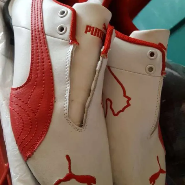 Puma Ferrari Shoes photo 1