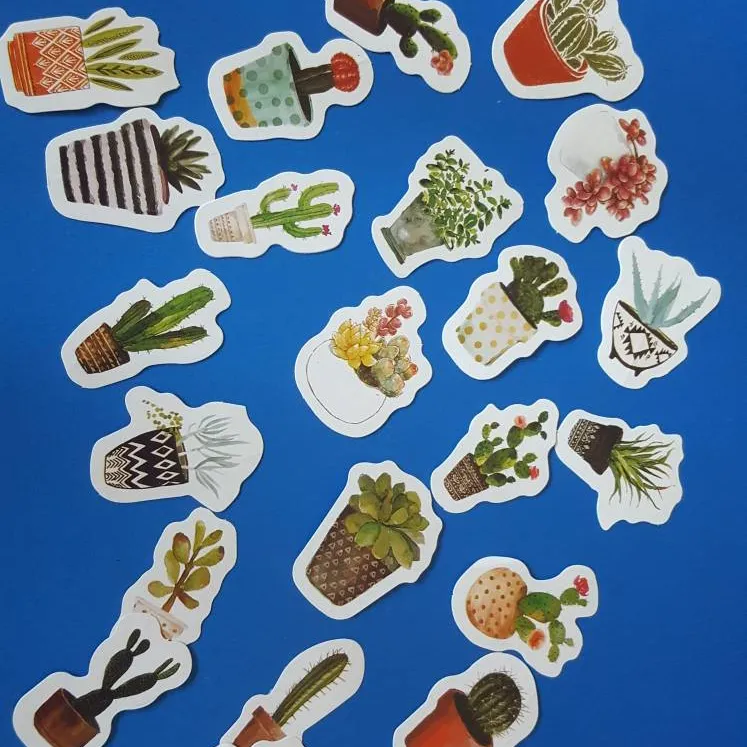 Cactus Stickers photo 1