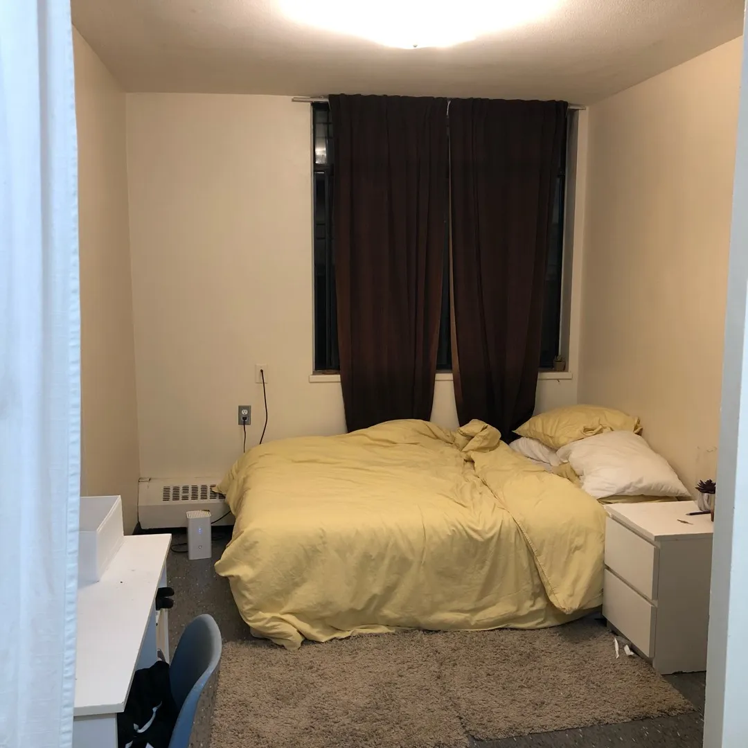 LOOKING FOR FEMALE ROOMATE photo 1