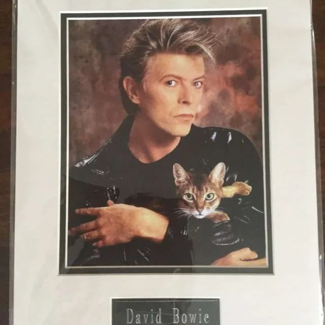 11x14 David Bowie Picture photo 1
